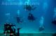 Sample image from gallery